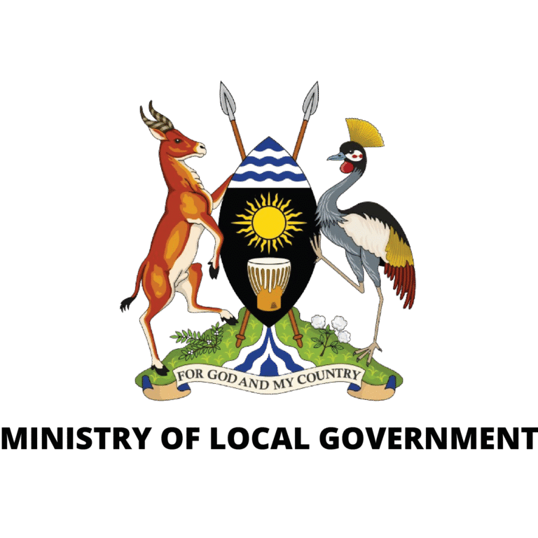 ministry of local government